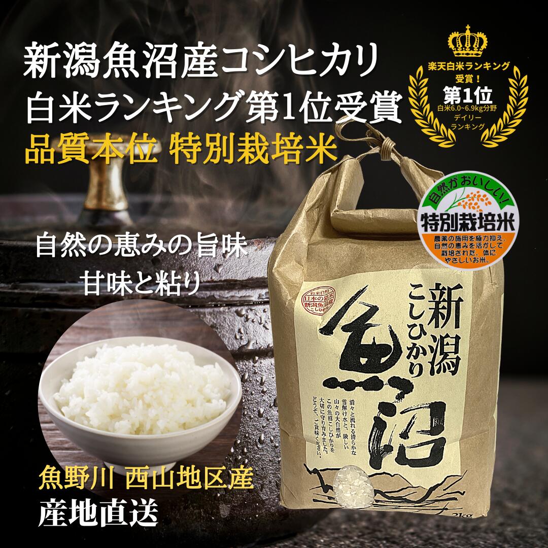 まきお様専用 コシヒカリ 20kg 玄米 - 米